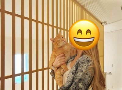 落下の危険から 楽しい遊び場に変える猫柵 さいたま市の家具と室内ドアの店 落下の危険から 楽しい遊び場に変える猫柵 さいたま市の家具と室内ドアの店