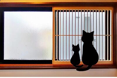 ネコちゃんが落下して大怪我 さいたま市の家具と室内ドアの店 ネコちゃんが落下して大怪我 さいたま市の家具と室内ドアの店