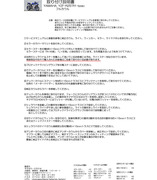 [R1-type]�ե륫����ʸ��-2