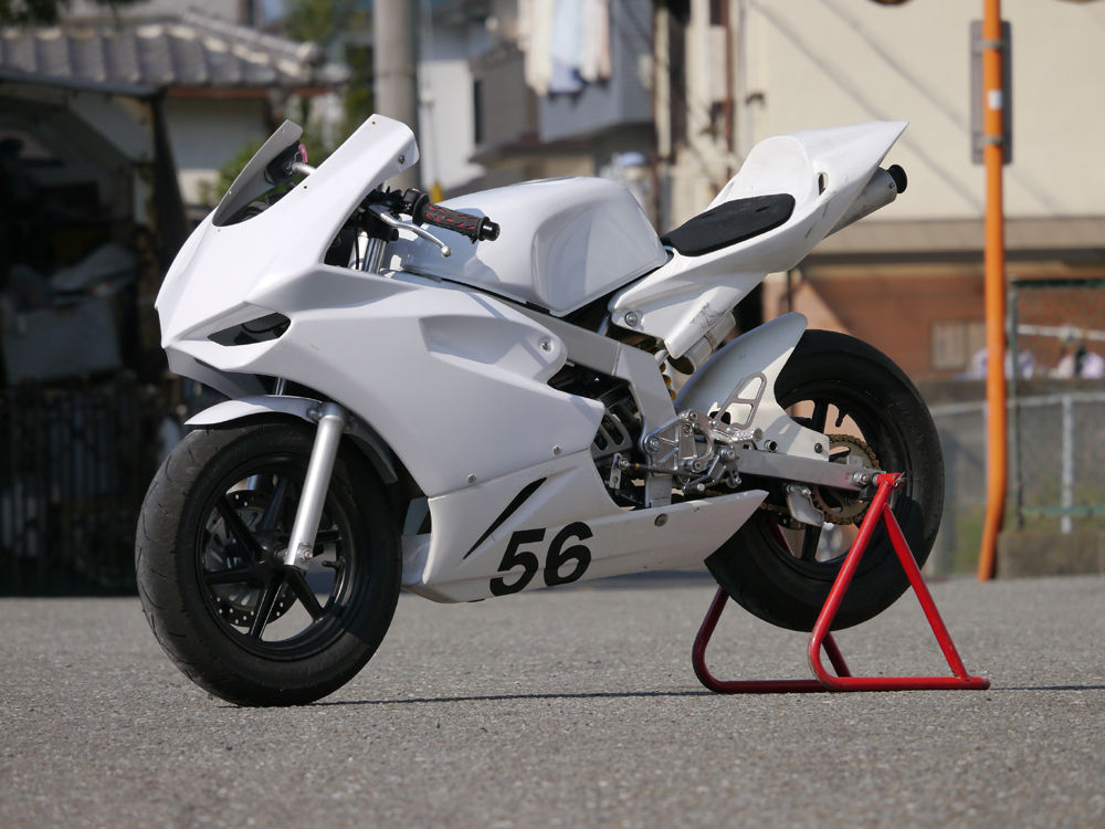 取扱店舗限定アイテム 正規品才谷屋ファクトリー NSF100 NSR50 NSR80 アンダーカウル 白ゲル 仕様:レース Saitaniya Factory バイク | www.vp-concrete.com
