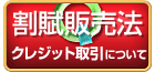 kappu_hanbai_law