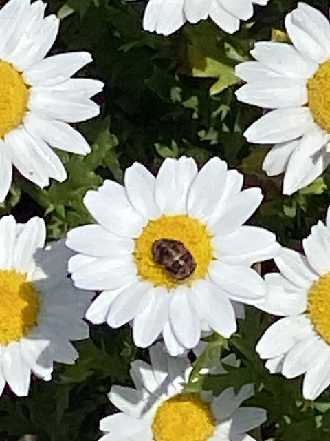 B32AB64B-F726-41F6-B558-9CAB6F04C22C