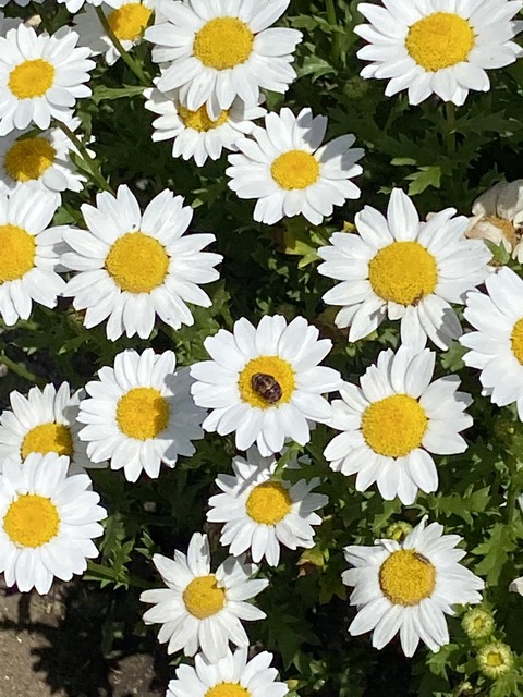 2517F20F-ECDC-46A8-8246-45C58FC0F486