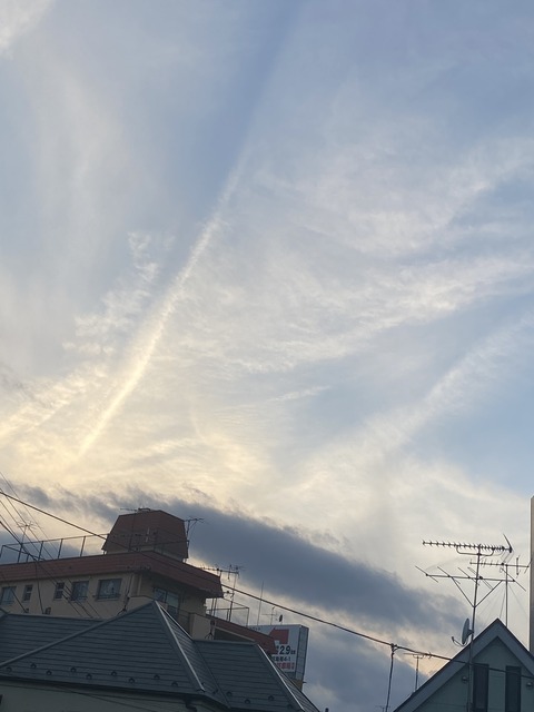 0738C459-6ABC-41C7-BFDA-18832E434555