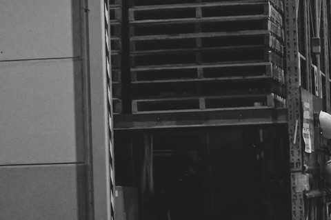 _ZAT4538