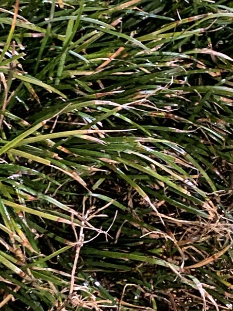 787196F2-6AC5-4E5A-8827-F8826976F954