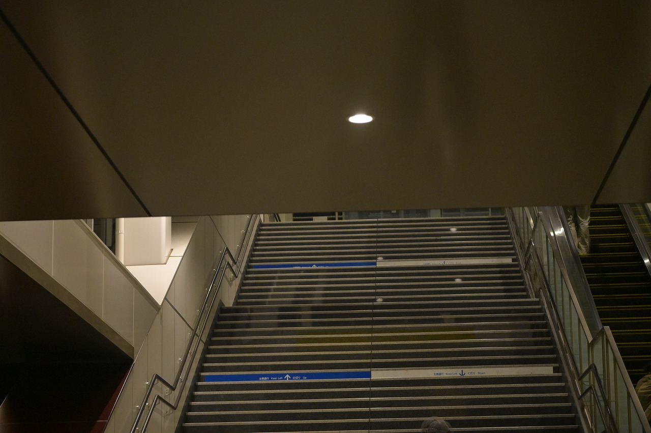 長時間活動しないと脳の機能が損なわれる可能性があります