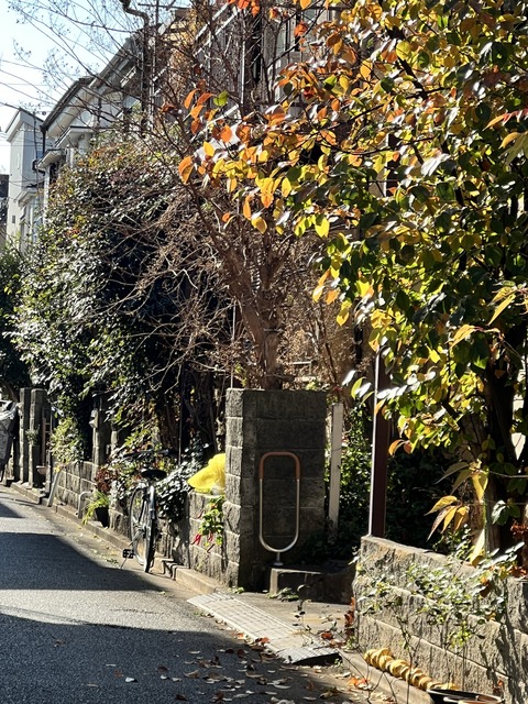 8ED89BA3-31E1-490F-94F4-07C5452B37BB