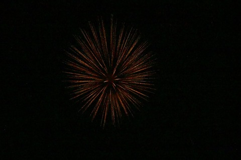 _ZAT9729