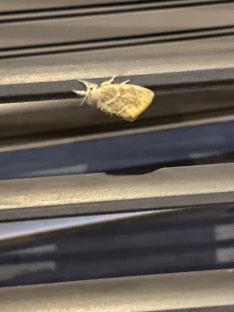 779A4BBD-70C9-4347-96A4-2B683BC83FF8