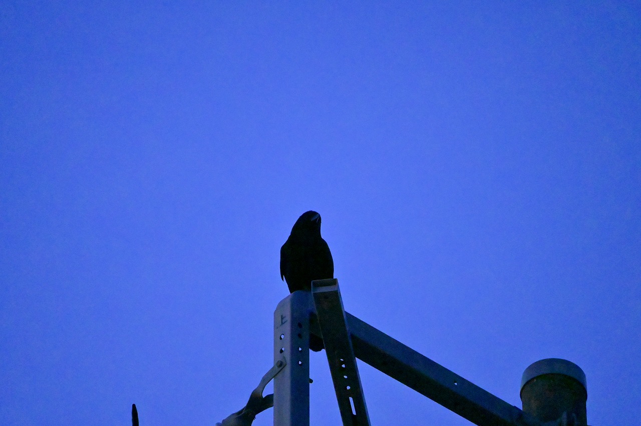 神経衰弱になりそうな7つの兆候