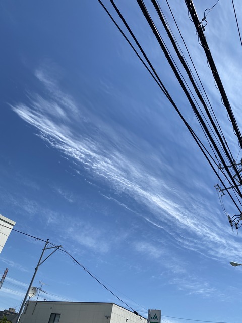 8C2E3445-A439-4BEA-8756-8947D3603DCC