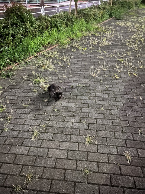 E6180BC4-E72A-46DC-8015-8307622C67CD