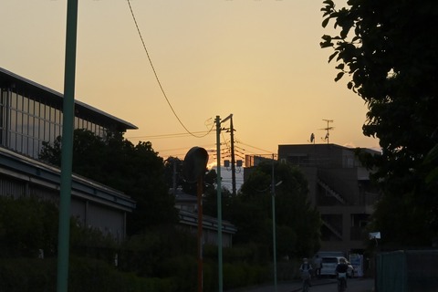 _ZAT0298