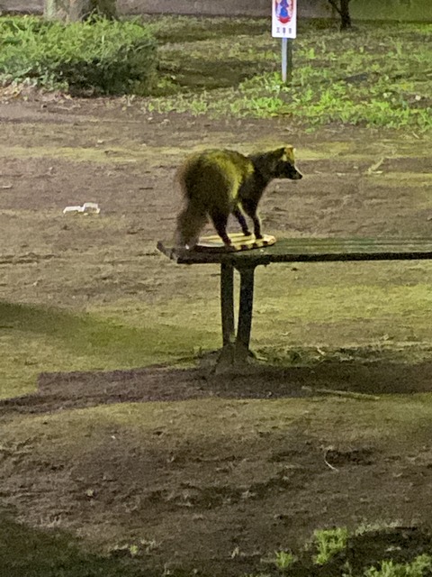 46EB2498-727C-47C4-9F38-21413F6C305A