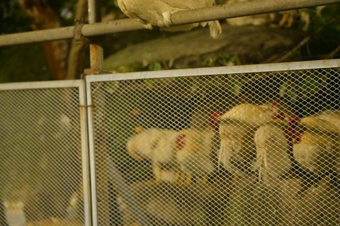 _ZAT5857