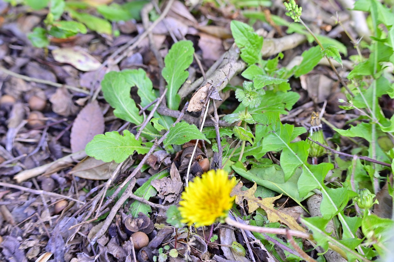 科学者がエネルギーを吐き出すブラックホールの写真を公開