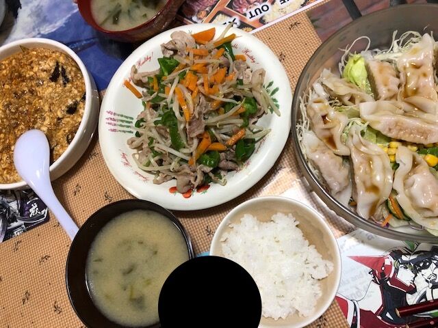 麻婆豆腐 野菜炒め えび餃子サラダ メモ料理