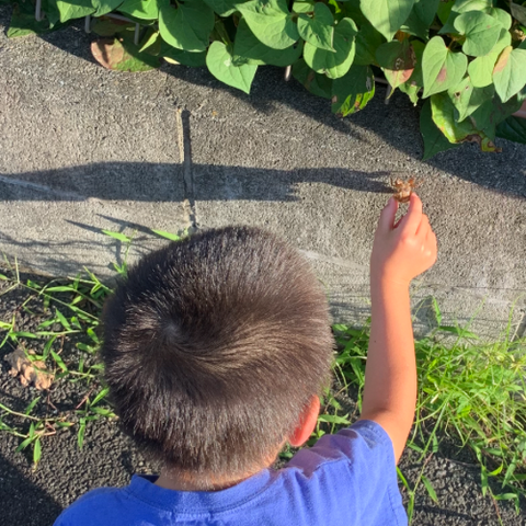 62A9CFD5-A208-4103-986A-5ECFA810B516