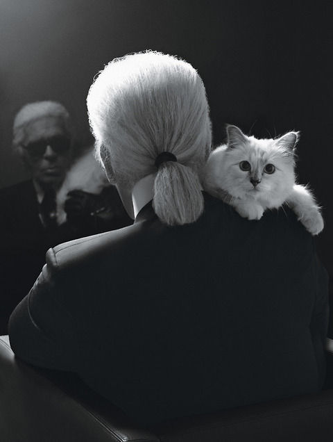 PETS ROCK UK製 カール・ラガーフェルド クッション PETS ROCK UK製 カール・ラガーフェルド クッション PETS ROCK