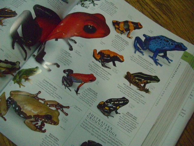 地球博物学 大図鑑 大型本 美 Amazon.co.jp: 地球博物学大図鑑 :