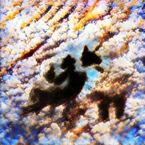 cat_and_dog_in_the_sky