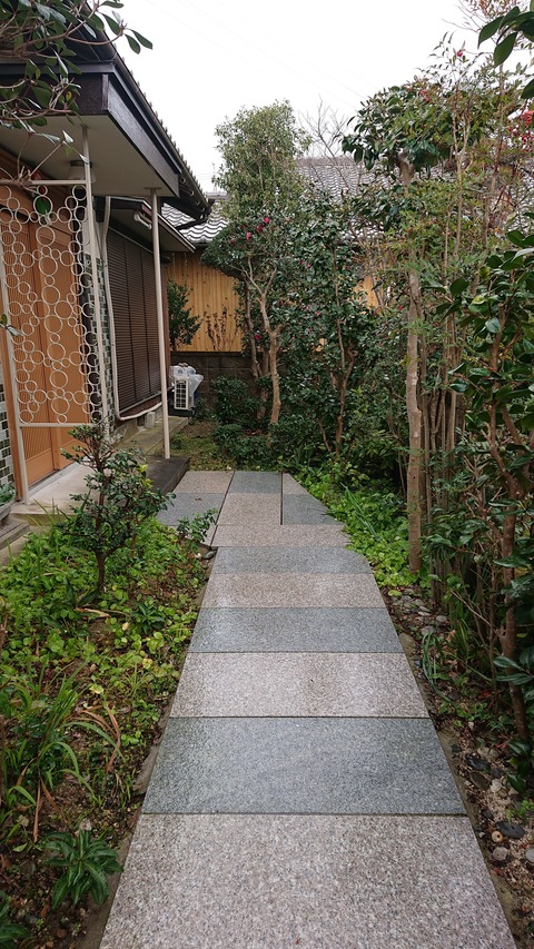 DSC_0740 (2)