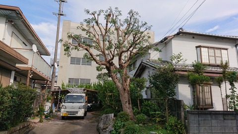 DSC_1966