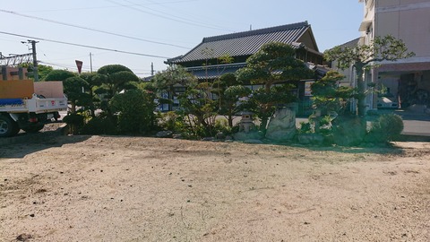 DSC_4039