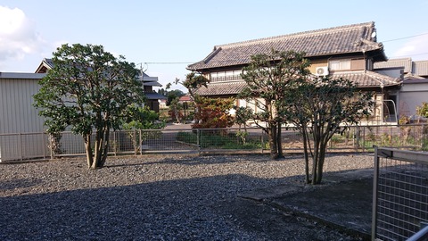DSC_0448 (2)