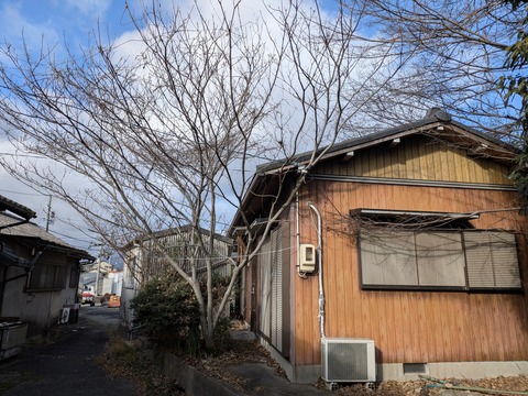 PXL_20260106_005600344