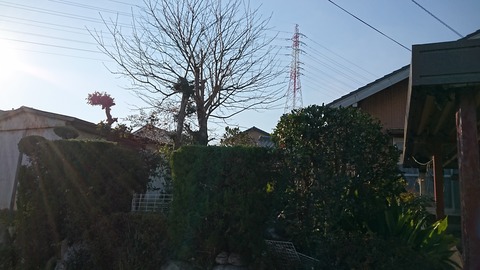 DSC_1186