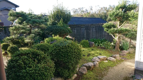 DSC_0158 (2)