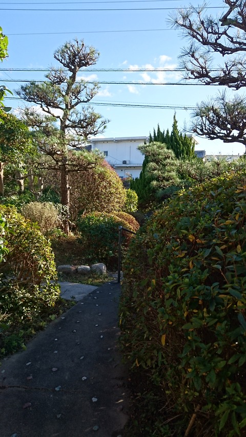 DSC_0264