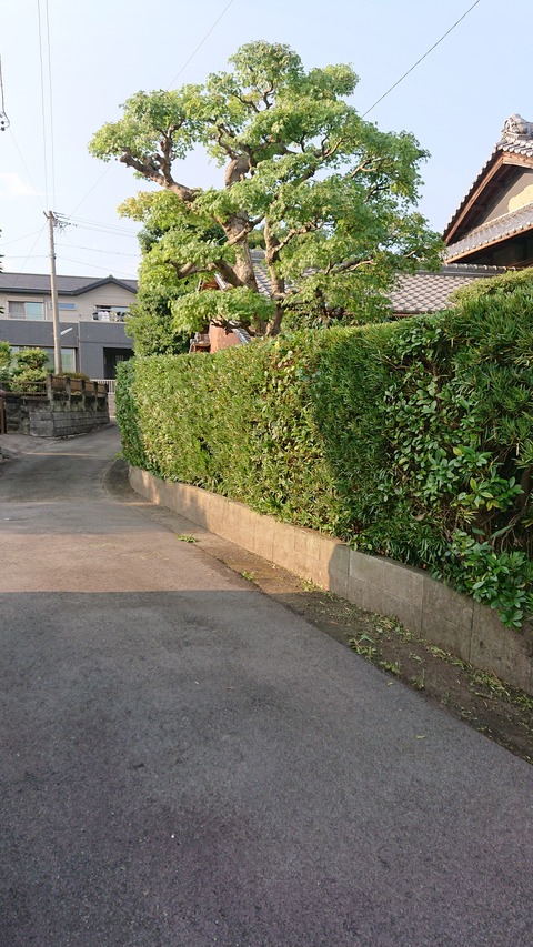 DSC_1792