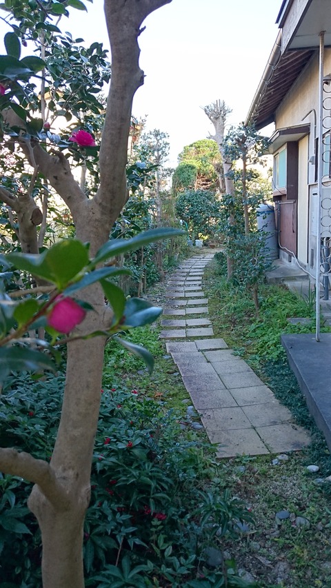 DSC_1180