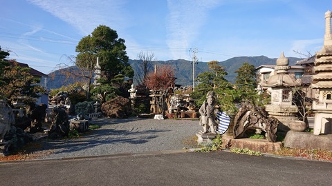 DSC_0321 (2)