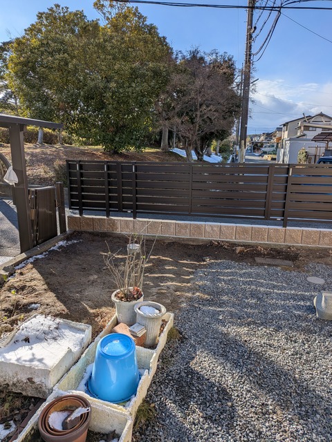 PXL_20260122_060712970