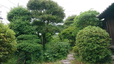 DSC_1755