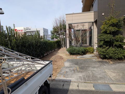 PXL_20260313_010303312