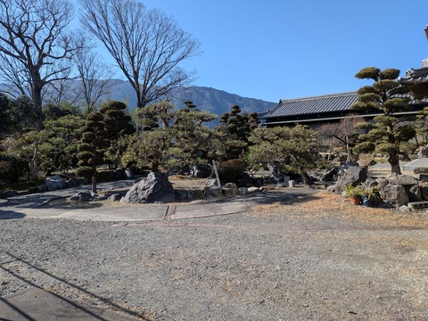 PXL_20260110_023610894