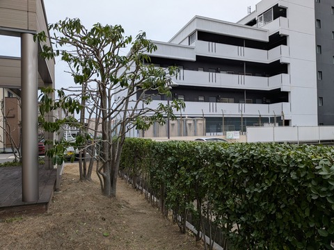PXL_20260313_074414049