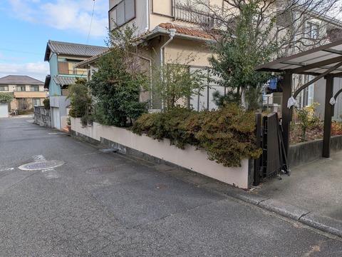 PXL_20251219_001751014