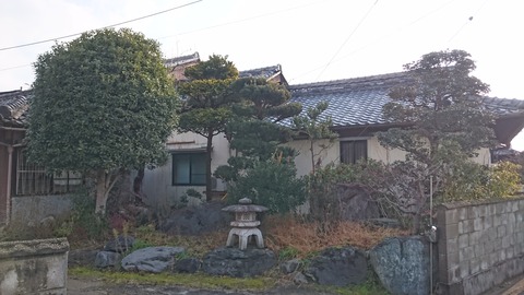 DSC_1343