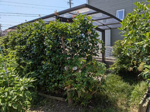 PXL_20260709_010809777