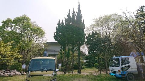 DSC_4866_LI