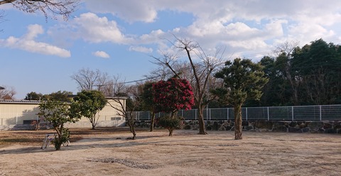 DSC_8599