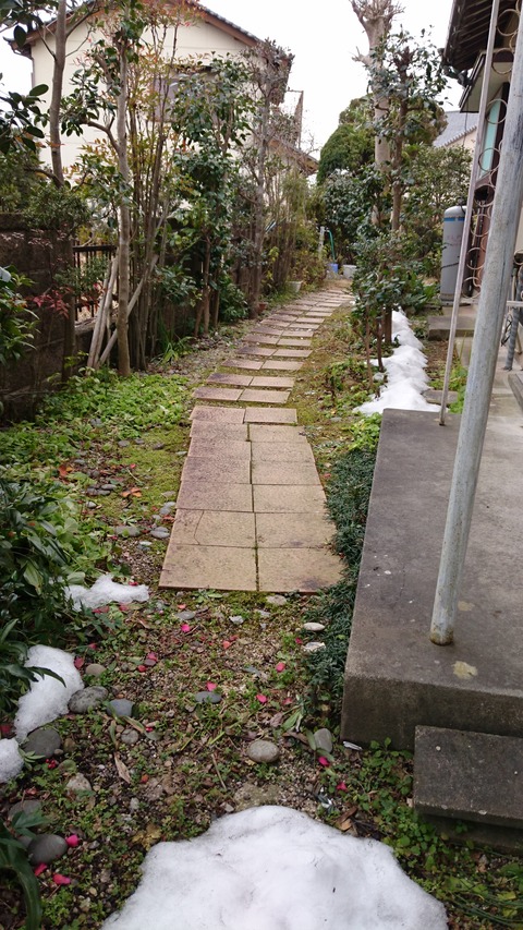 DSC_1378