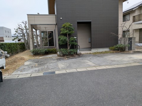 PXL_20260313_074228701