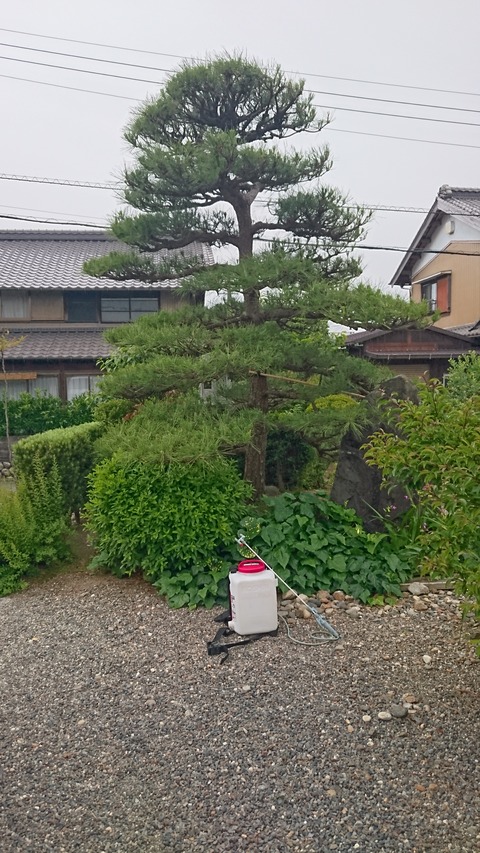 DSC_1740